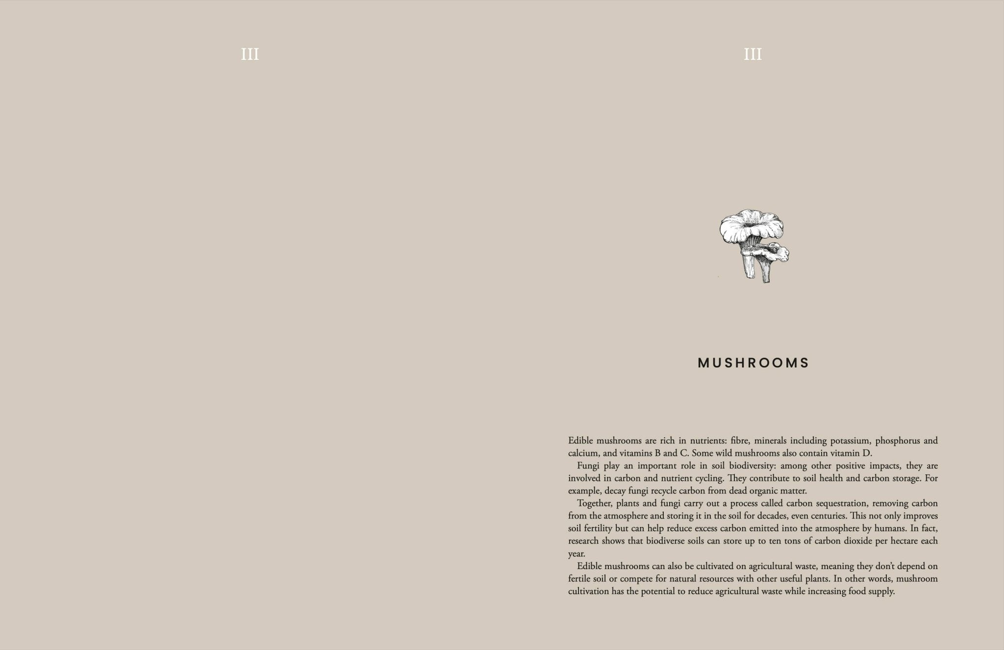 Laudeen | Cozy Publishing | Cooking Sustainably