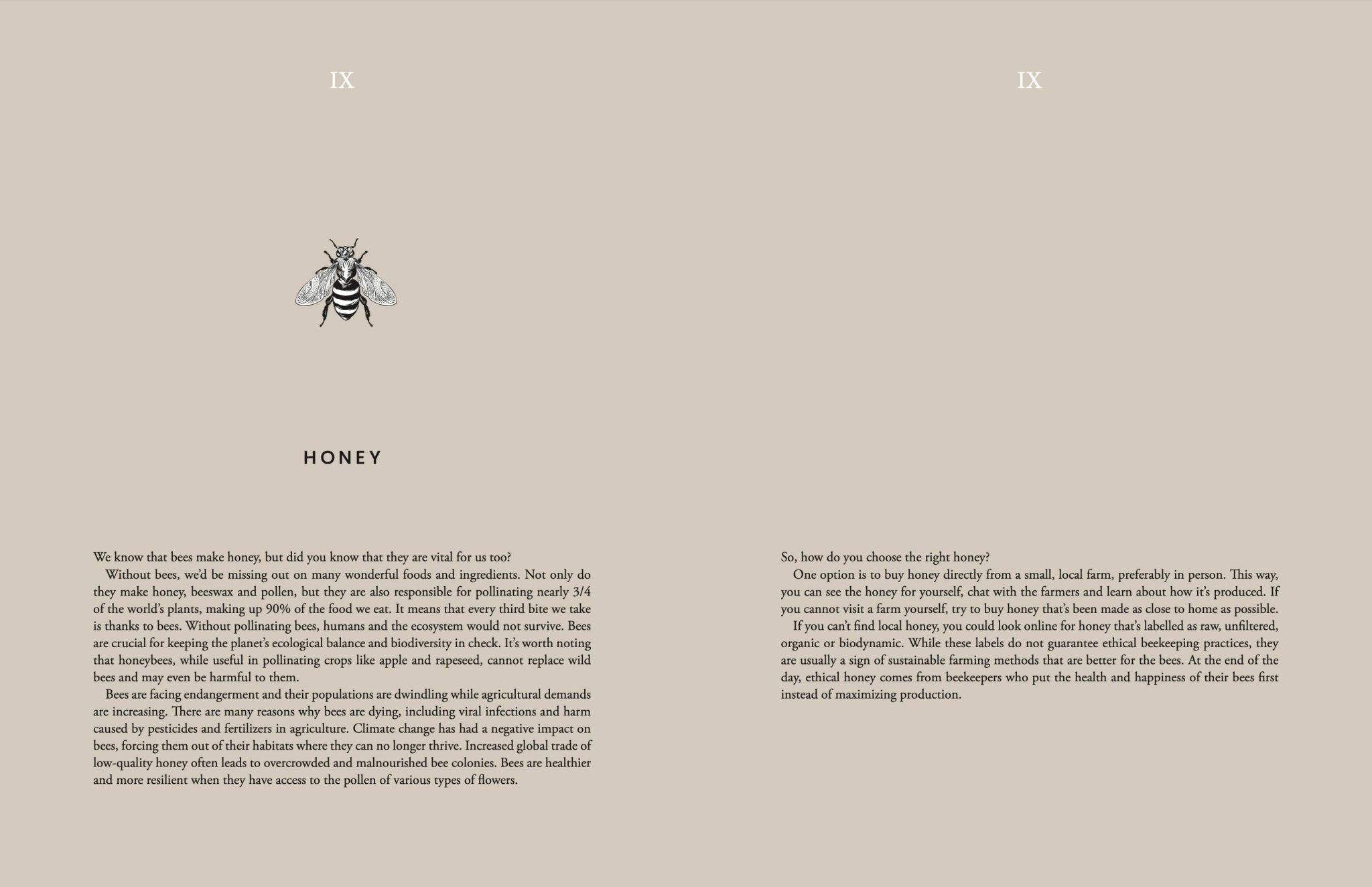 Laudeen | Cozy Publishing | Cooking Sustainably