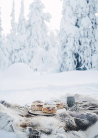 Laudeen | Cozy Publishing | Nordic Winter Cookbook